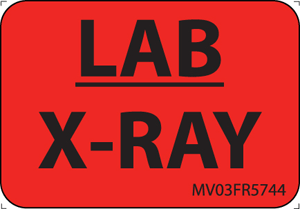Label Paper Permanent Lab X-Ray, 1" Core, 1 7/16" x 1", Fl. Red, 666 per Roll