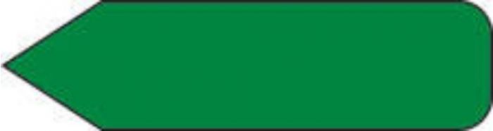 Spee-D-Point™ Flags & Tags Mini Solid Dark Green Removable 5/16" x 1-3/16", 300 per Pack