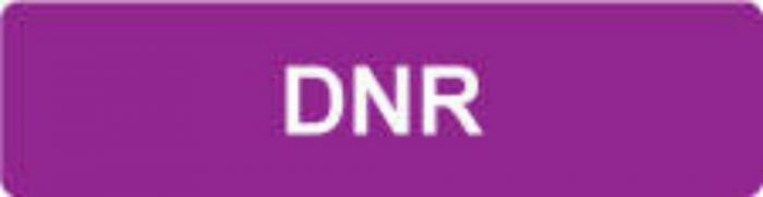 Label Paper Removable DNR 5 3/8" x 1", 3/8" Purple 500 per Roll