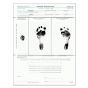 Newborn Identification Form, 50 per Pad