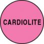 Label Paper Permanent Cardiolite  Fl. Pink 1000 per Roll