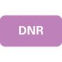 Label Paper Removable DNR, 1" Core, 1 1/2" x 3/4" Purple 1000 per Roll