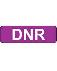 Label Paper Permanent DNR  1 1/4"x3/8" Purple 1000 per Roll