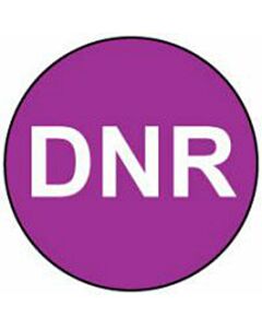 Label Paper Removable DNR, Purple, 1000 per Roll