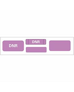 Label Paper Permanent DNR DNR 1" Core 4 3/4 "x3/4" Purple 500 per Roll