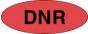 Label Paper Permanent DNR  2 1/4"x7/8" Red 1000 per Roll