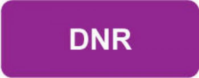 Label Paper Removable DNR 2 1/4" x 7/8", Purple, 1000 per Roll