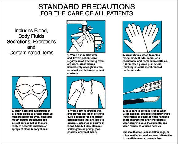 Label Paper Removable Standard Precautions 8" x 6 1/2", White, 50 per Package