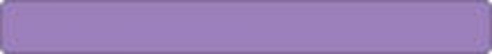 Binder/Chart Label Paper Removable 4 1/2" x 1/2" Purple 250 per Roll