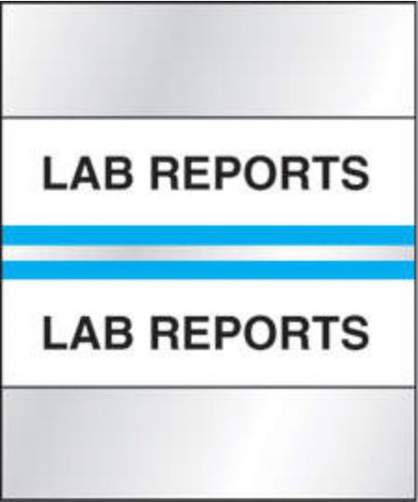 Chart Tab Paper Lab Reports Lab 1 1/4" x 1 1/2" Blue 100 per Package