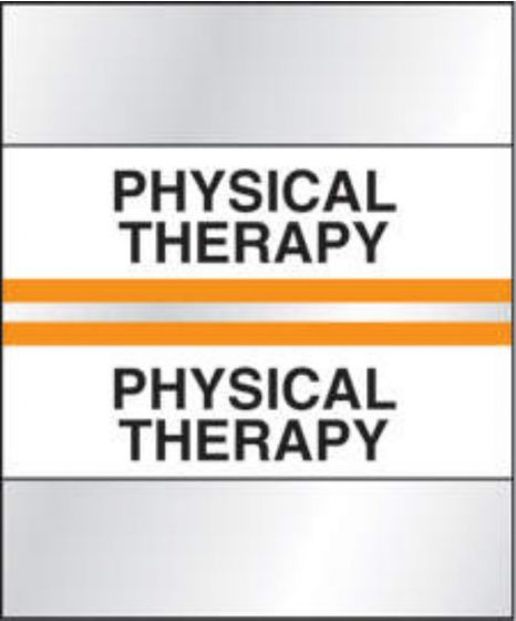 Chart Tab Paper Physical Therapy 1 1/4" x 1 1/2" Orange 100 per Package