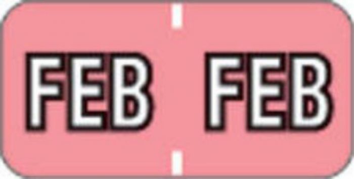 Barkley™ Compatible MBLM Color Code Label Month "Feb" 1 1/2" x 3/4" Pink Permanent - 500 per Roll