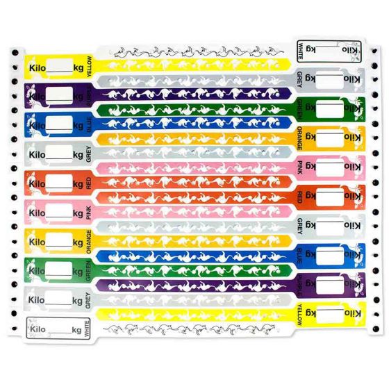 KangaBand® Write-on Wristband Poly 1"x10-1/4" Multi Color Pack 250 per Box