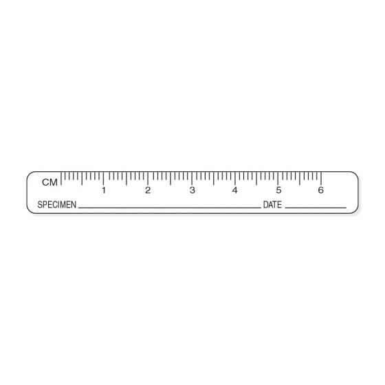 Tamper Evident Label Paper Removable Ruler 1-6 CM 3" X 3/8" White, 1000 per Roll